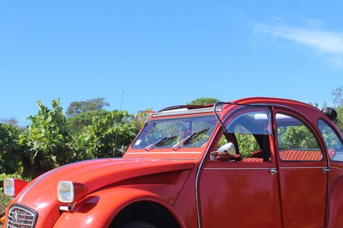 1/2 day private Vintage tour, vineyards of Saint-Tropez - Key points at a glance