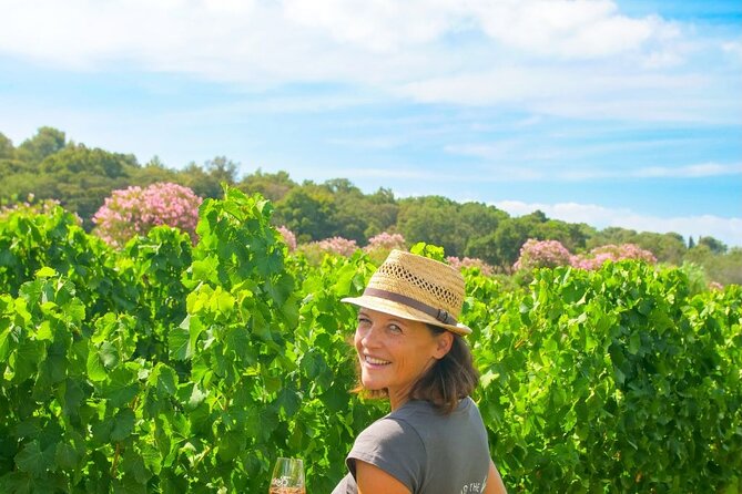 1/2 day private Vintage tour, vineyards of Saint-Tropez - What the six to eight wine tastings are like