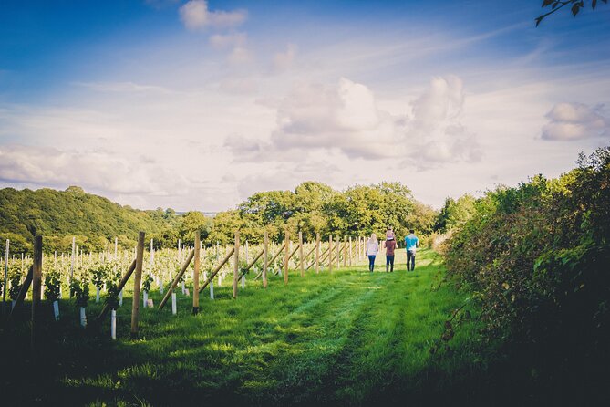 1.5-Hour Swanaford Vineyard Tour And Tasting Experience - Seeing English wine at its source