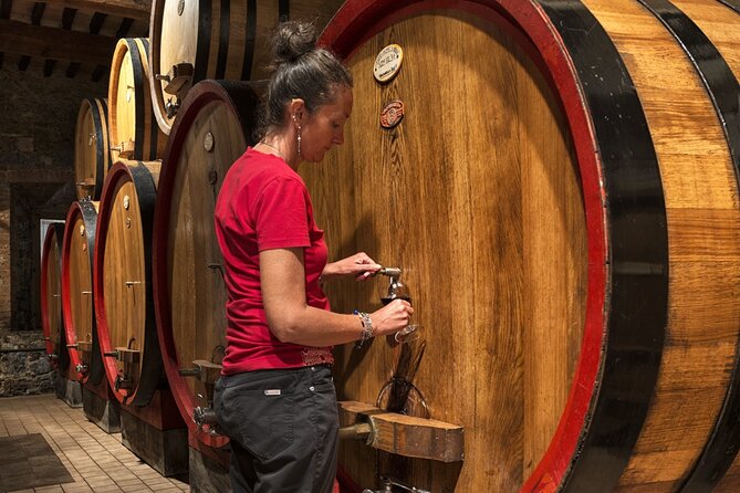 1-Hour Experience with Brunello. Visit to the Vineyard and Cellar - Inside the cellar and fermentation rooms