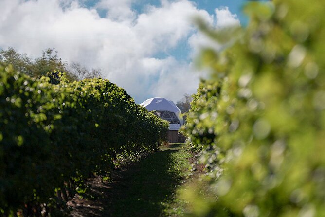 1 Hour Private Vineyard Dome Experience in Niagara-on-the-Lake - A One-Hour Schedule That Needs Some Discipline