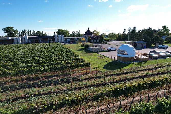 1 Hour Private Vineyard Dome Experience in Niagara-on-the-Lake - Price, Privacy, and What You Receive