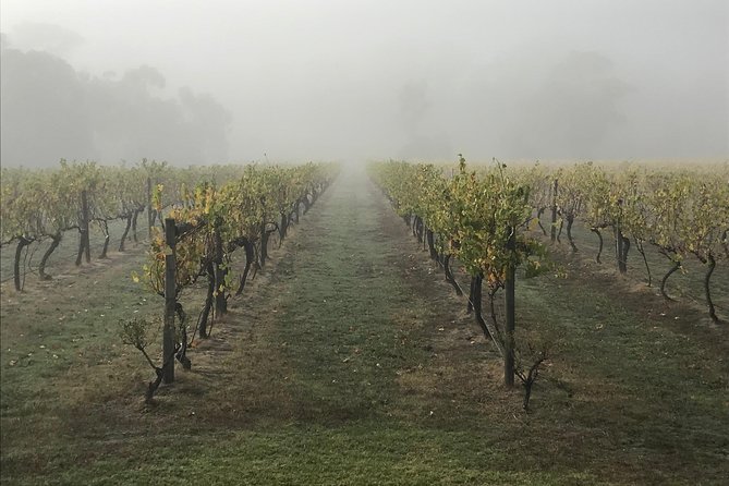 2-Day Yarra Valley Wine Tour with Luxury Vineyard Resort Stay - Who should book this two-day wine escape?