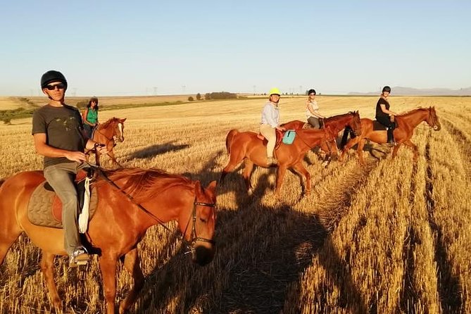 2 Hour Vineyard Trail Ride - Starting with a lesson and the right horse