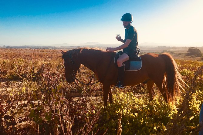 2 Hour Vineyard Trail Ride - Vredenheim Big Cats Park: nearby, but separate