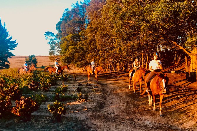2 Hour Vineyard Trail Ride - Is $113 a fair price?