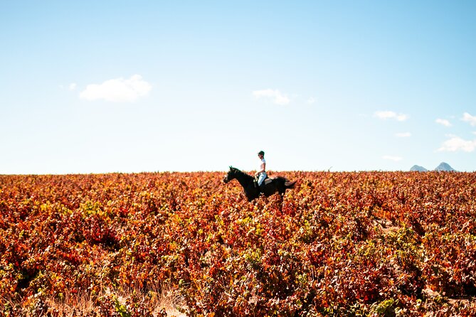 2 Hour Vineyard Trail Ride - Who will enjoy this ride most?