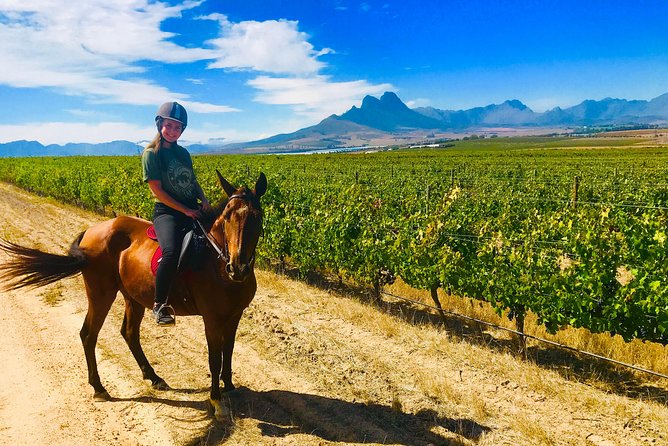 2 Hour Vineyard Trail Ride - What the two-hour route is really like