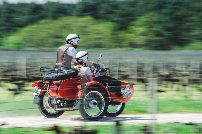 2 in 1 - Visit of Bordeaux and excursion in a vineyard - The guides make the ride feel personal