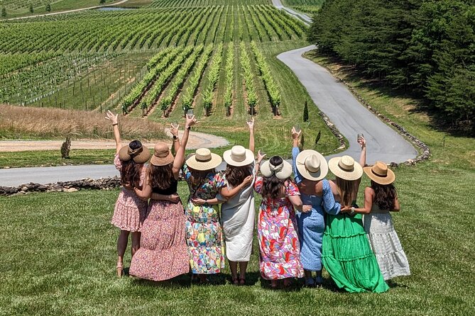2 Vineyard Wine Tour of the Yadkin Valley - Piccione Vineyards brings the views