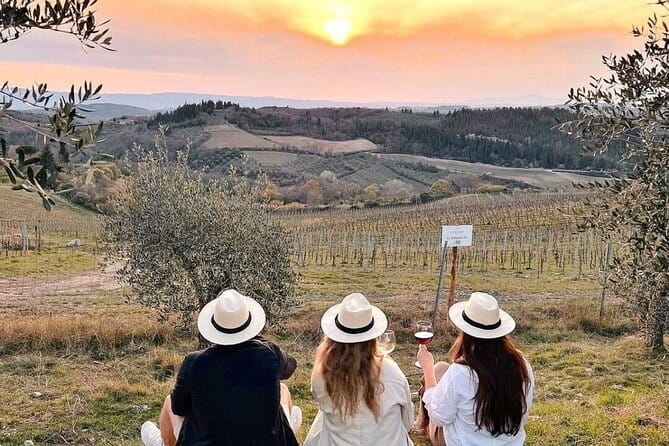 2 wineries Chianti Wine Tasting & Vineyards Walk Private Tour - Leaving Florence for the Chianti hills