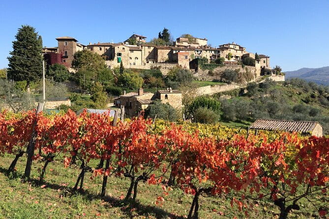 2 wineries Chianti Wine Tasting & Vineyards Walk Private Tour - The castle and its 900-year-old cellars