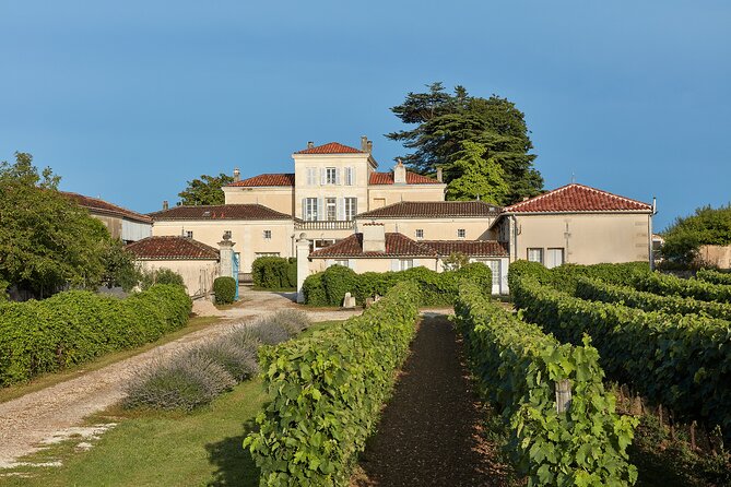3-Hour Private Painting tuition in a beautiful Cognac vineyard - Taking the class into the vineyard