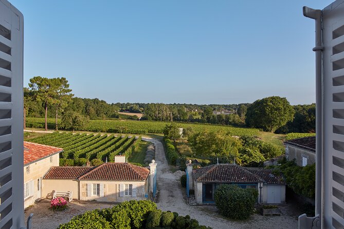 3-Hour Private Painting tuition in a beautiful Cognac vineyard - A practical booking checklist