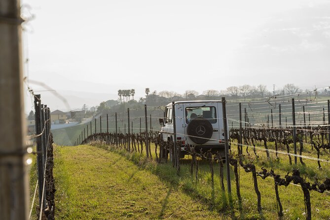 3-Hours of Activities with Safari Grand Tour and Tasting in Vineyards - A jeep ride above the Teramo Hills