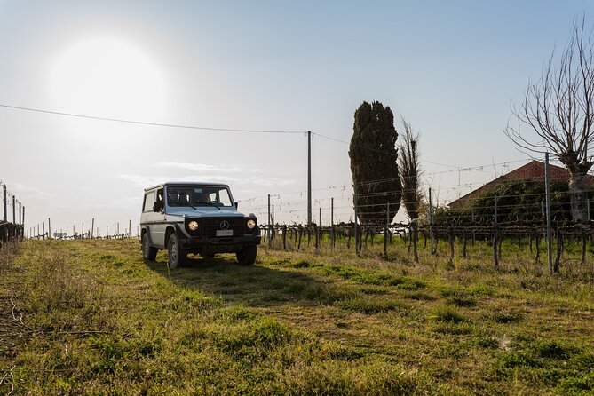 3-Hours of Activities with Safari Grand Tour and Tasting in Vineyards - Five Abruzzo wines, from Pecorino to Vino Cotto