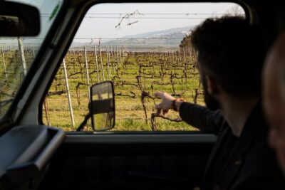 3-Hours of Activities with Safari Grand Tour and Tasting in Vineyards