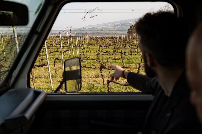 3-Hours of Activities with Safari Grand Tour and Tasting in Vineyards - The viewpoint where sea and mountains meet