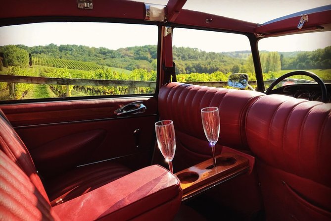 3H private city tour of Bordeaux and vineyard in a Citroën DS - Seeing Bordeaux’s UNESCO-classified center