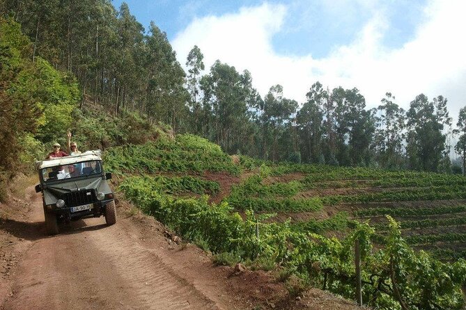 4x4 Safari Half day Poncha, Mountains, Vineyards and Cabo Girão Small group - Boca da Corrida and the rural side of Madeira