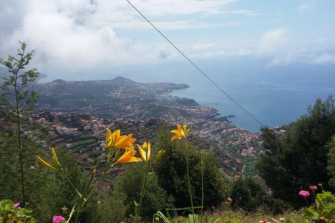 4x4 Safari Half day Poncha, Mountains, Vineyards and Cabo Girão Small group - Cabo Girão for the big finish