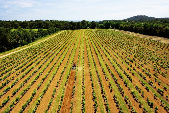 4x4 tour in a winery followed by a tasting - Tasting the estate wines