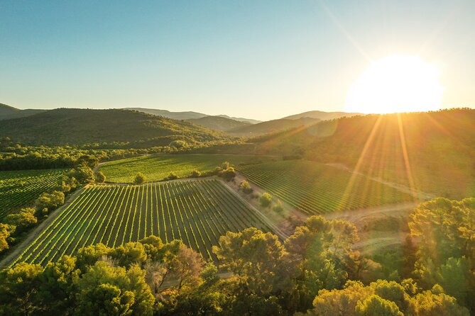 4x4 tour in a winery followed by a tasting - The Porquerolles viewpoint