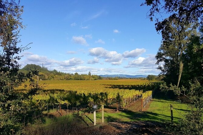 5 day California Vineyards, Waves and Wine small group tour - Sonoma and the Fairmont’s mineral springs