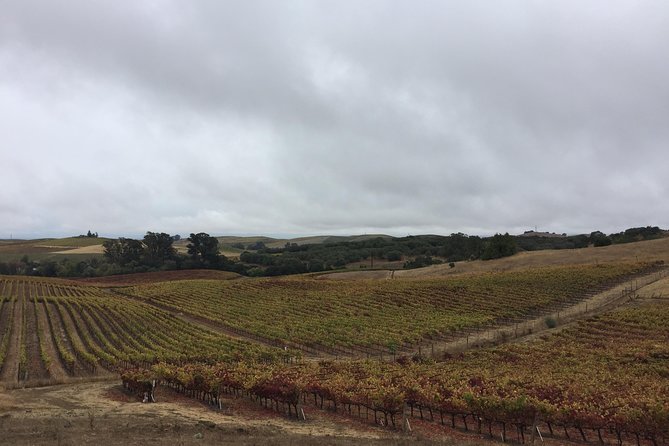 6-Hour Private Limousine Wine Country Tour of Napa or Sonoma - Napa or Sonoma: choosing the right side of wine country
