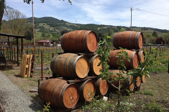 6-Hour Private Wine Country Tour of Napa in Crossover SUV (up to 6 people) - Six hours through Napa or Sonoma