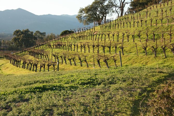 6-Hour Private Wine Country Tour of Napa in Crossover SUV (up to 6 people) - Building a smart winery plan