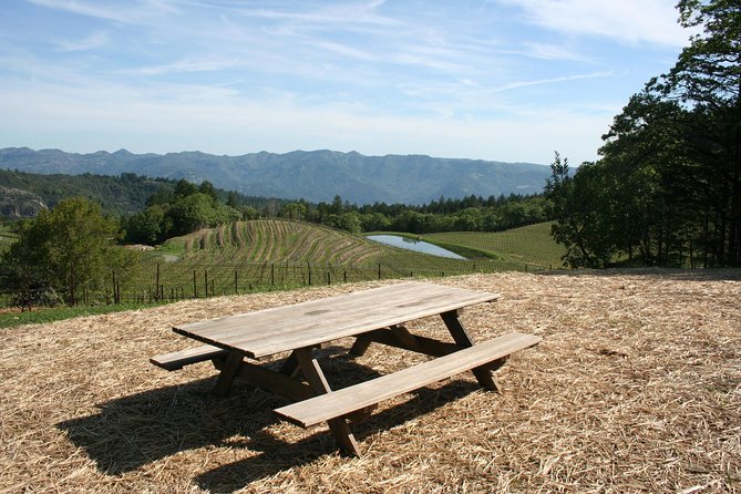 6-Hour Private Wine Country Tour of Napa in Crossover SUV (up to 6 people) - Who gets the best value
