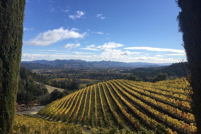 6-Hour Private Wine Country Tour of Napa Valley (up to 6 people) in Large SUV - Six hours, one flexible route