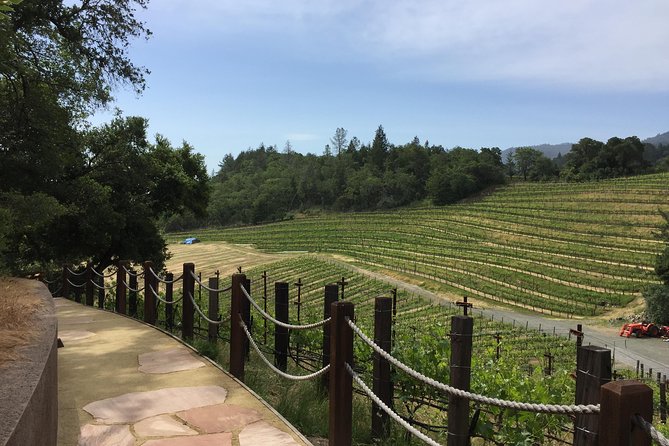 6-Hour Private Wine Country Tour of Napa Valley (up to 6 people) in Large SUV - Why hotel pickup helps