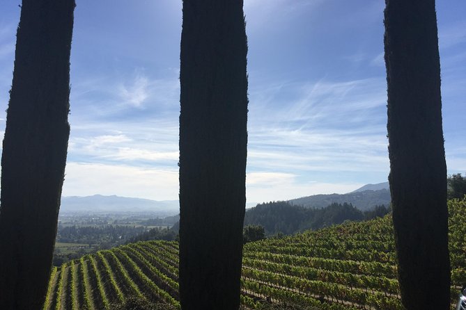 6-Hour Private Wine Country Tour of Napa Valley (up to 6 people) in Large SUV - Planning a better Napa route