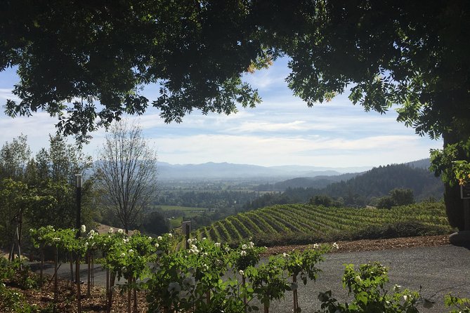 6-Hour Private Wine Country Tour of Napa Valley (up to 6 people) in Large SUV - What the day feels like in practice