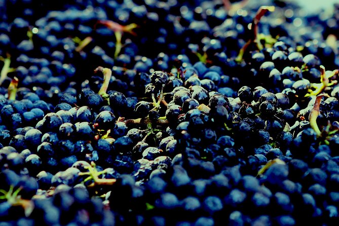 8 Hour Private Tour in Wine Country from San Francisco - A private Napa day that starts in San Francisco