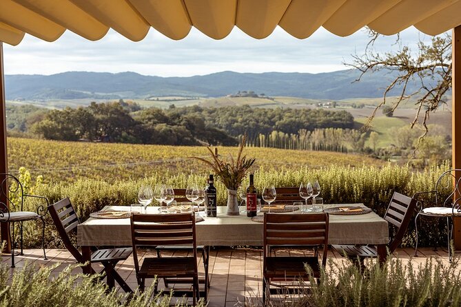 A Brunello Cooking Class with Vineyards View Winery - What the $313.35 price includes