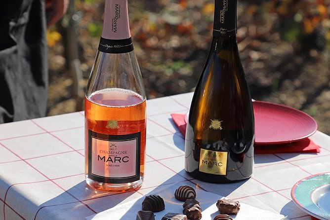 A unique sensory experience in the vineyards - Key points at a glance