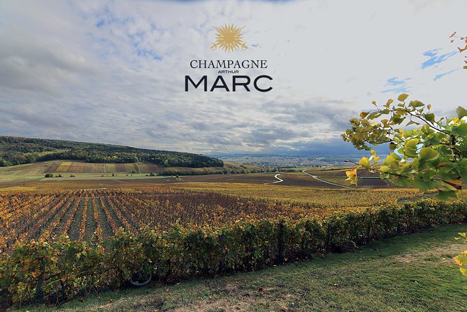 A unique sensory experience in the vineyards - Watch bottles disgorged à la volée