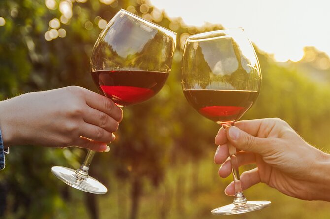 A Wine Tasting Experience in the Vineyards of the Desert - Key points to know before you book