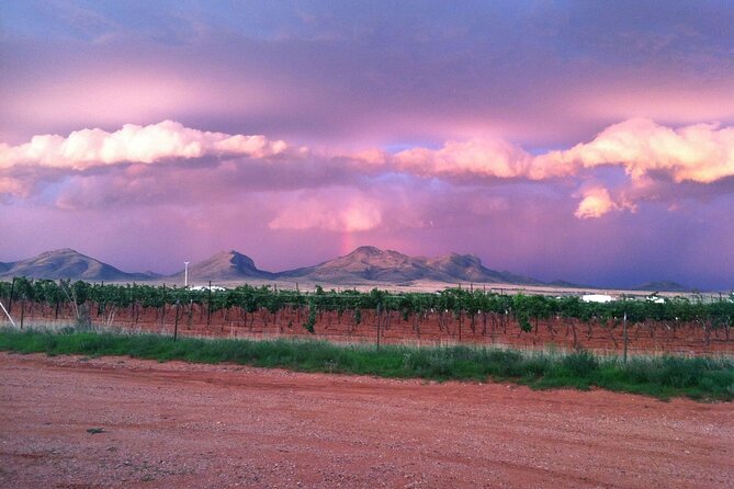 A Wine Tasting Experience in the Vineyards of the Desert - Why this desert wine day works so well