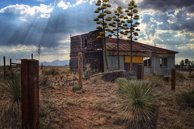 A Wine Tasting Experience in the Vineyards of the Desert - First tasting: Flying Leap and the Callaghan stop