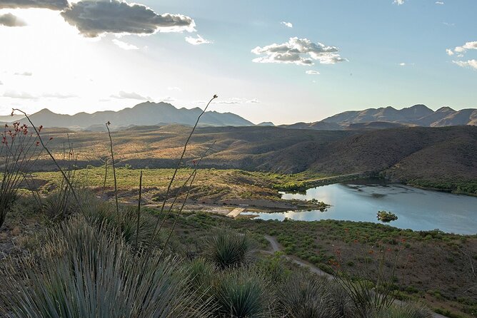 A Wine Tasting Experience in the Vineyards of the Desert - What the guides add to the drive