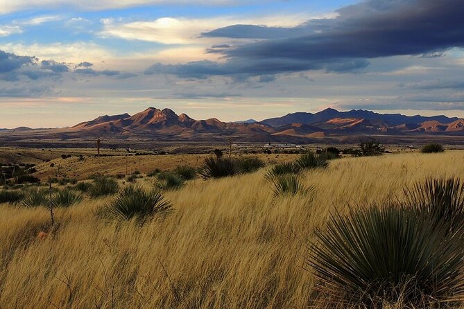 A Wine Tasting Experience in the Vineyards of the Desert - The Sonoran Desert between the vines