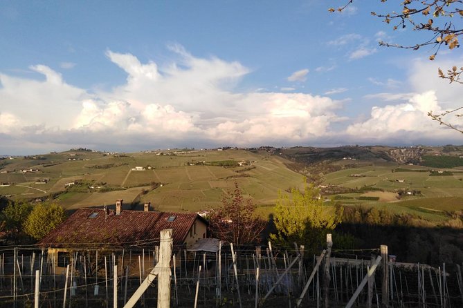 Abellonio Cascina Piccaluga - visit to the vineyards, to the wine tasting cellar - A Piedmont wine visit that starts among the vines