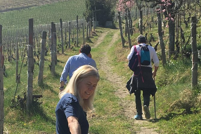 Abellonio Cascina Piccaluga - visit to the vineyards, to the wine tasting cellar - Tasting five wines with Piedmont specialties