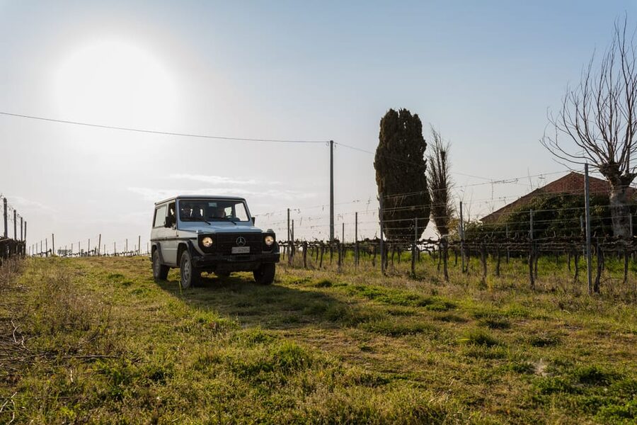 Abruzzo: Vineyard Jeep Tour with Tastings - The Jeep Question: What You Should Know Before Booking