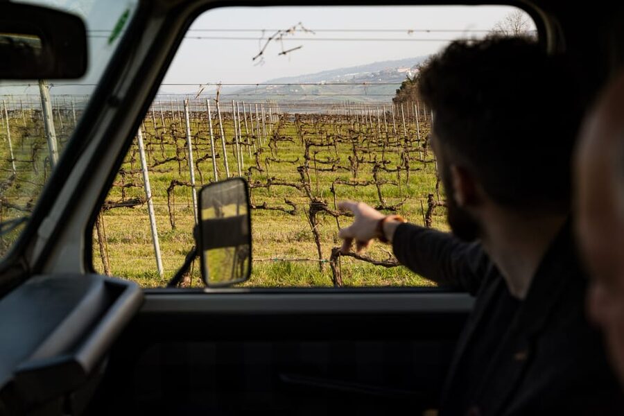 Abruzzo: Vineyard Jeep Tour with Tastings - Five Wines, Served With Abruzzo Food