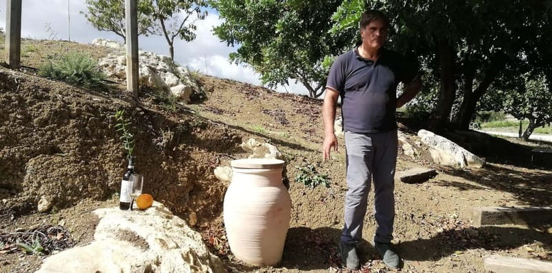Agrigento: Vineyards and Wine Tasting Experience - Traditional and Ecological Methods in the Vineyard